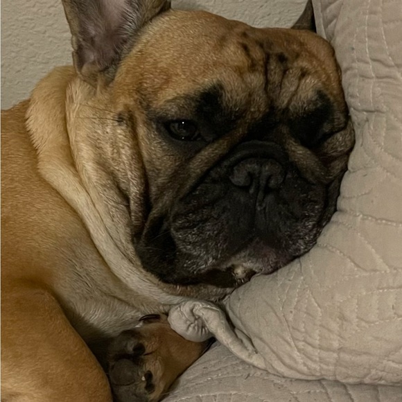 Meet your Posher, Heather - Picture 1 of 1